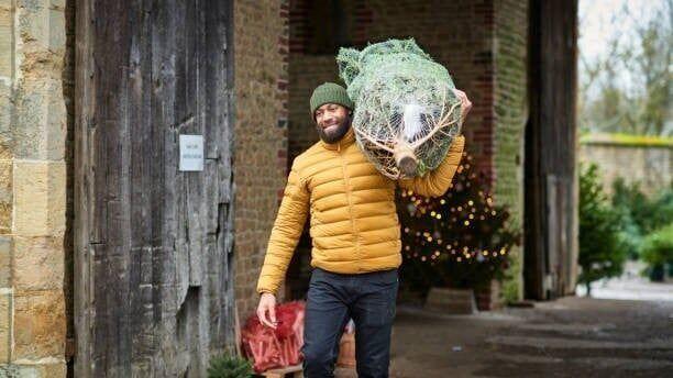 Should you buy a real or fake Christmas Tree?